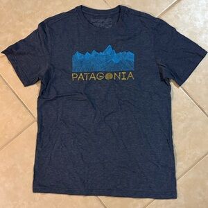 Patagonia Men's Navy and Gold Graphic Tee